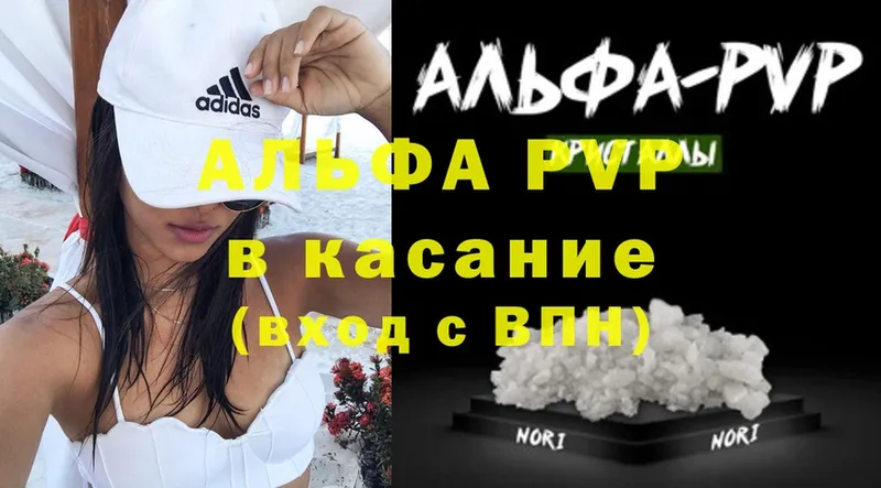 A-PVP СК Дальнегорск