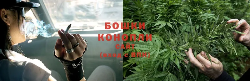 наркошоп  Дальнегорск  МАРИХУАНА White Widow 